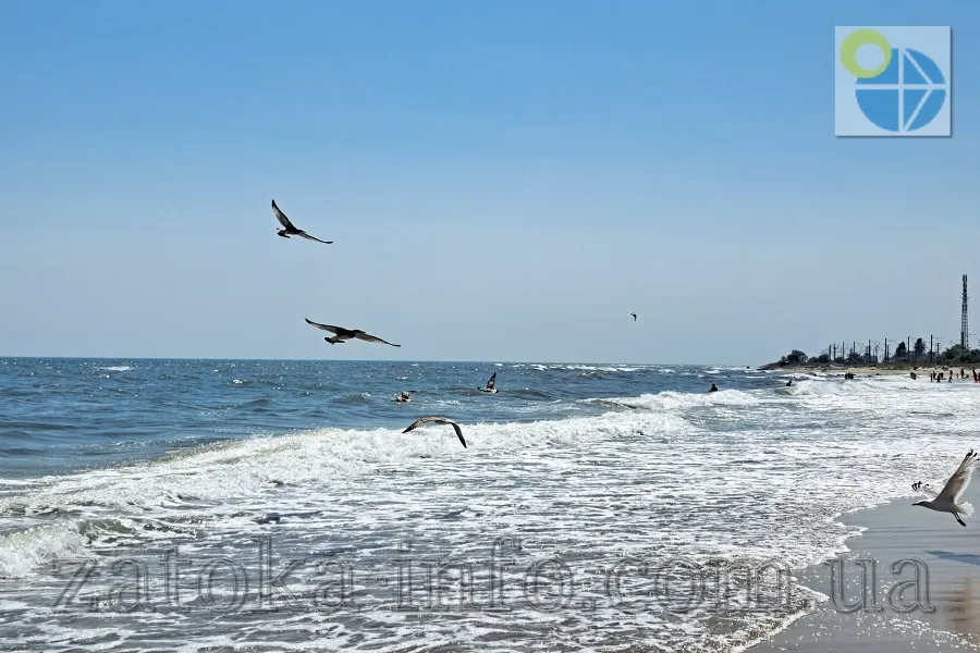 Затока Лиманська пляжі фото